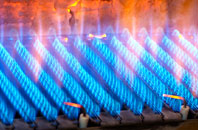 Seskinore gas fired boilers